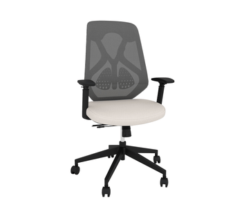 Ergonomic Chair | Office Chair with Adjustable Arms Porvata Office Chairs Linen